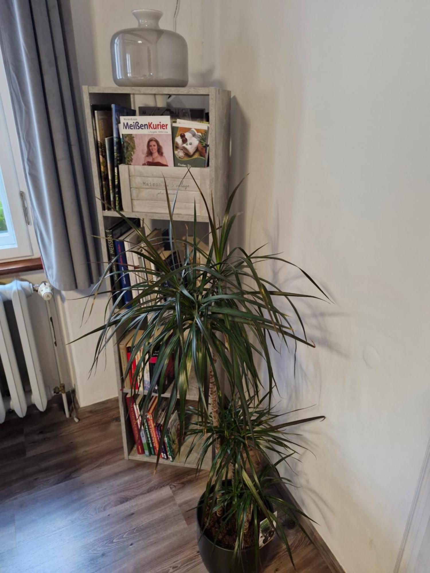 Ferienwohnung Ines Wolf In Der Meissner Innenstadt Meißen 外观 照片
